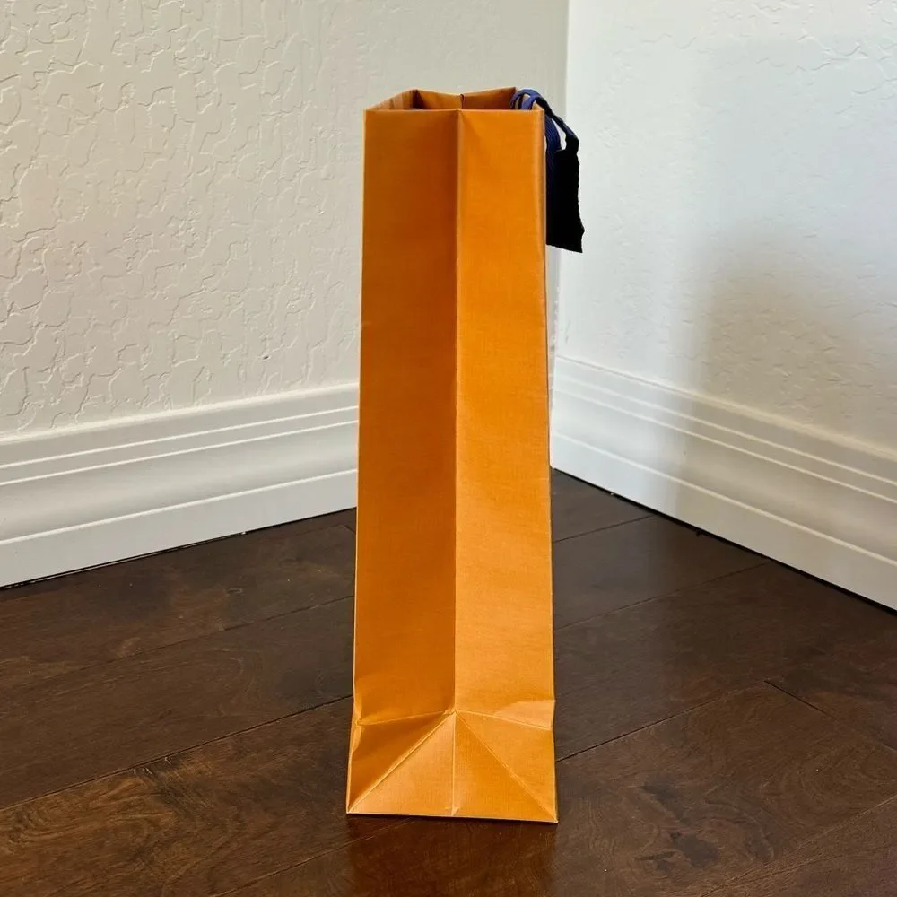 Authentic Louis Vuitton Small Shopping Gift Bag‎ LV